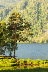 Similar image 2894102