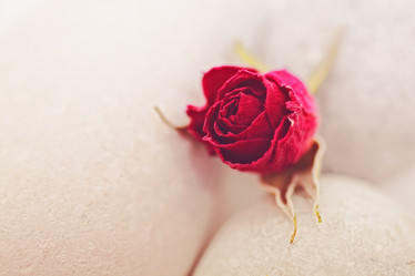 Similar image 2894169