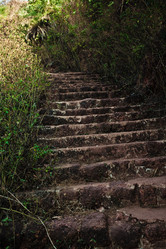 Similar image 2894190