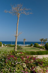 Similar image 2894291