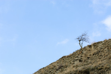 Similar image 2894292