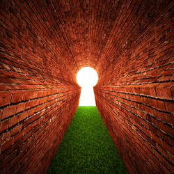 Similar image 2894573