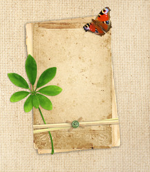 Similar image 2894726