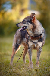 Similar image 2894751