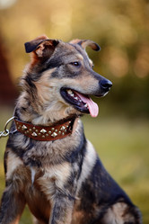 Similar image 2894753