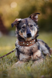 Similar image 2894755