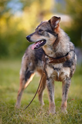 Similar image 2894756