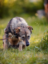 Similar image 2894758