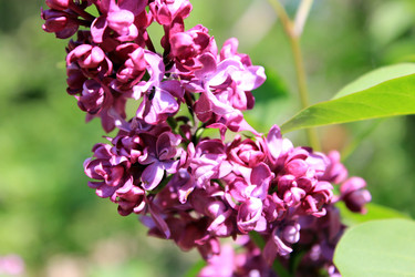 Similar image 2894792