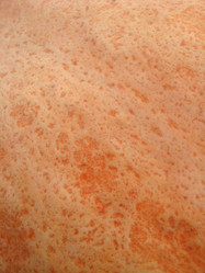 Similar image 2894891