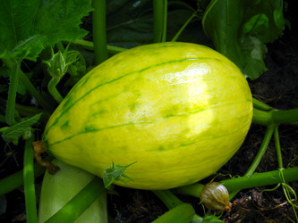 Similar image 2894911