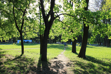 Similar image 2894932