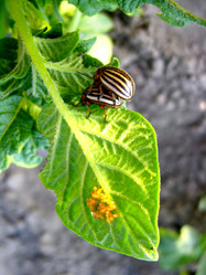 Similar image 2894991