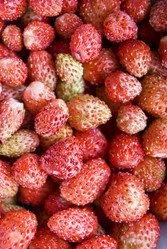 Similar image 2895006