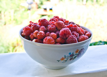 Similar image 2895008