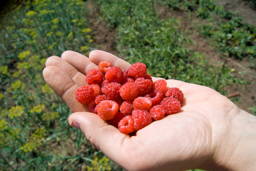 Similar image 2895009