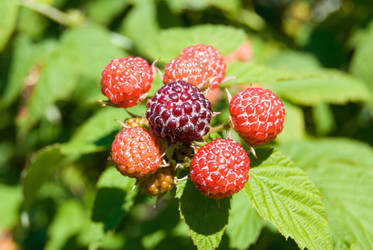 Similar image 2895010