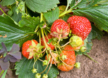 Similar image 2895026