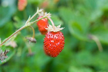 Similar image 2895027