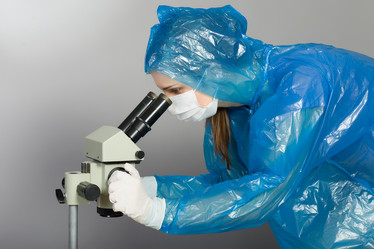 Similar image 2895034