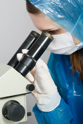 Similar image 2895036