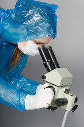 Similar image 2895059