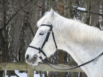 Similar image 2895117