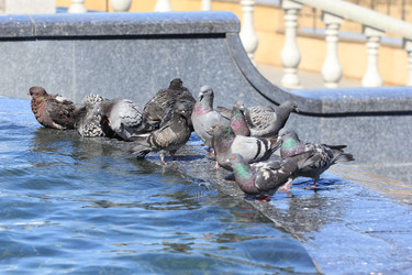 Similar image 2895129