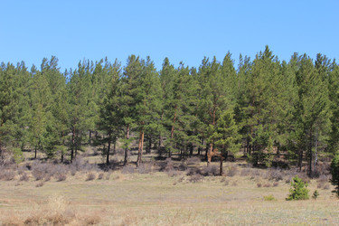 Similar image 2895134