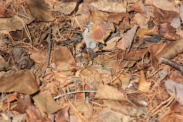 Similar image 2895135