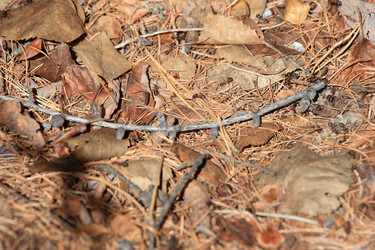 Similar image 2895136