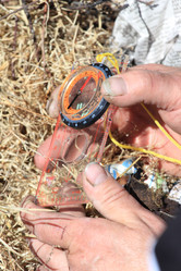 Similar image 2895139