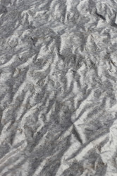 Similar image 2895140