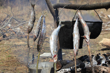 Similar image 2895141