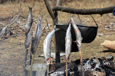 Similar image 2895142