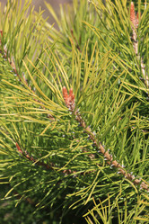 Similar image 2895143