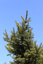 Similar image 2895144