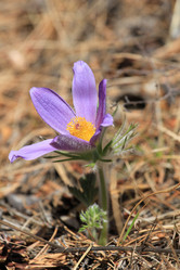 Similar image 2895151