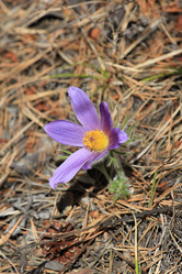 Similar image 2895152