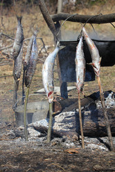 Similar image 2895153