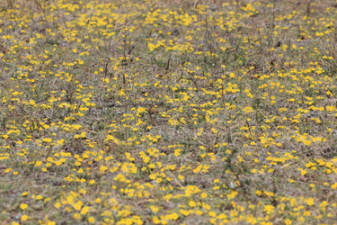 Similar image 2895159