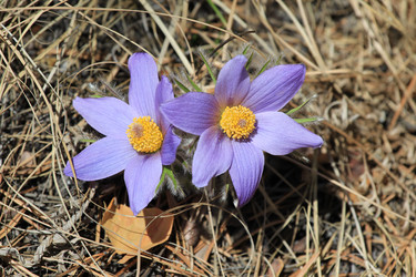 Similar image 2895160