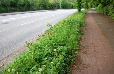 Similar image 2895298