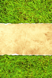 Similar image 2895355