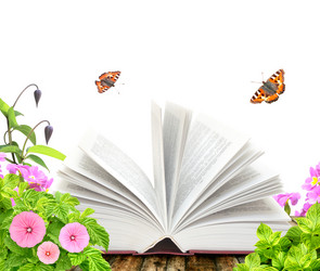 Similar image 2895365