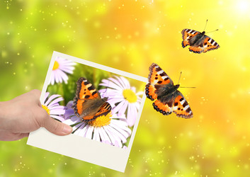 Similar image 2895370