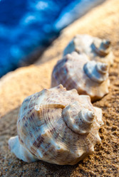 Similar image 2895515