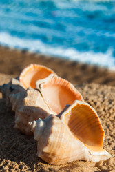 Similar image 2895516