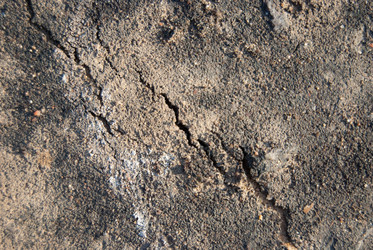 Similar image 2895519