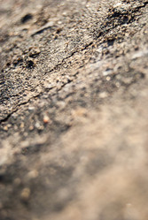 Similar image 2895520